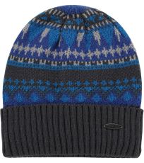 674 - Blue aster