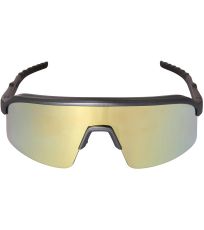 Unisex sportovní brýle SOFERE ALPINE PRO šedá
