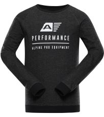 Pánská mikina TERR ALPINE PRO