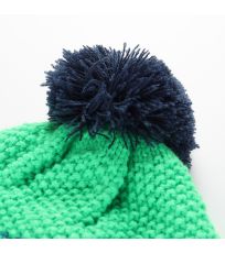 Unisex zimní čepice DELORE ALPINE PRO 